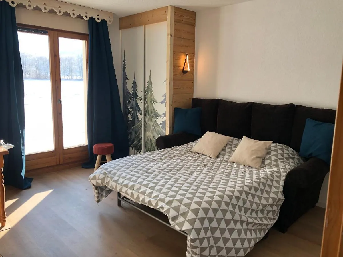 Studio - Le D2 Du Grand Tetras Samoens 0*,  France